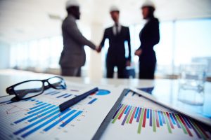 Business Partners NetSuite