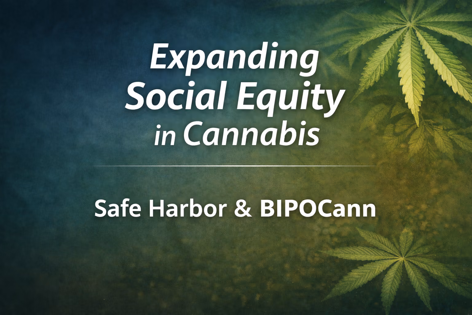 social equity cannabis safe harbor bipocann