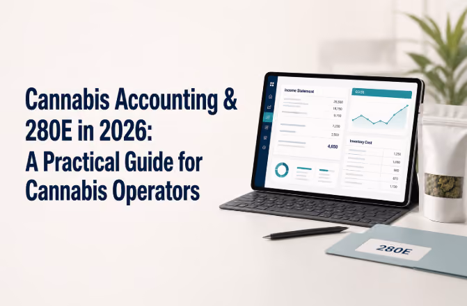 cannabis accounting