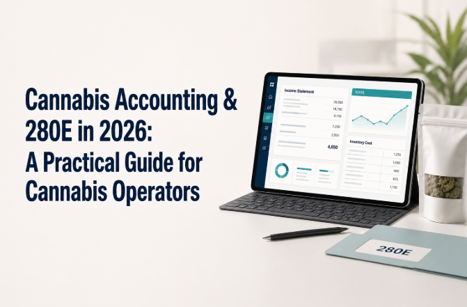 cannabis accounting