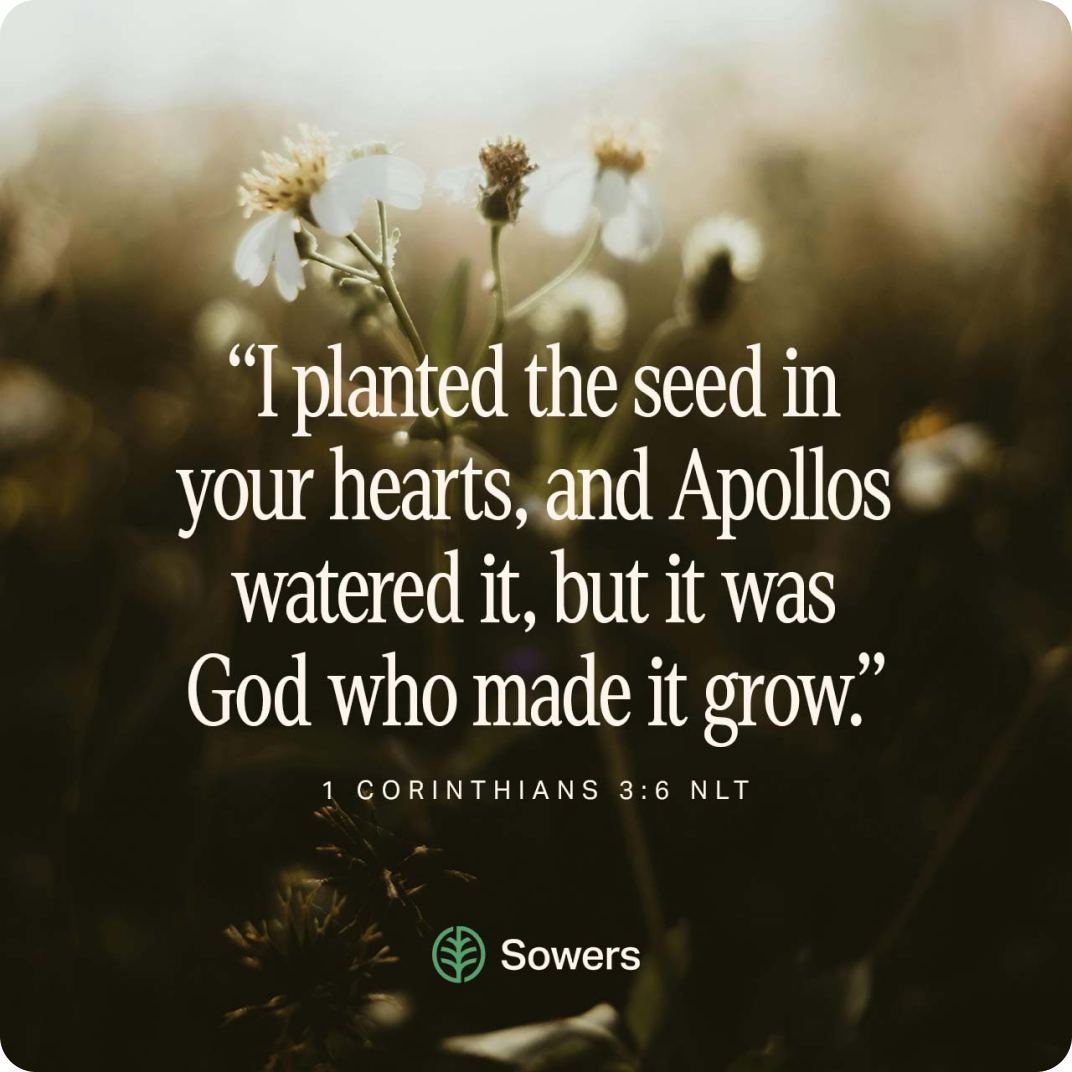 1 Corinthians 3:6 NLT — I planted the seed in your hearts, and Apollos watered it, but it was God who made it grow.