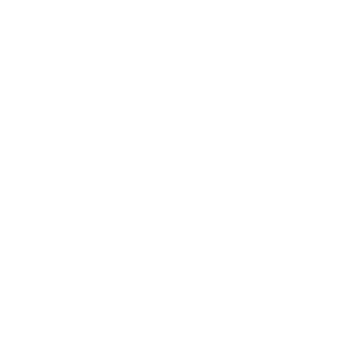 Holden Melia - Business Optimization