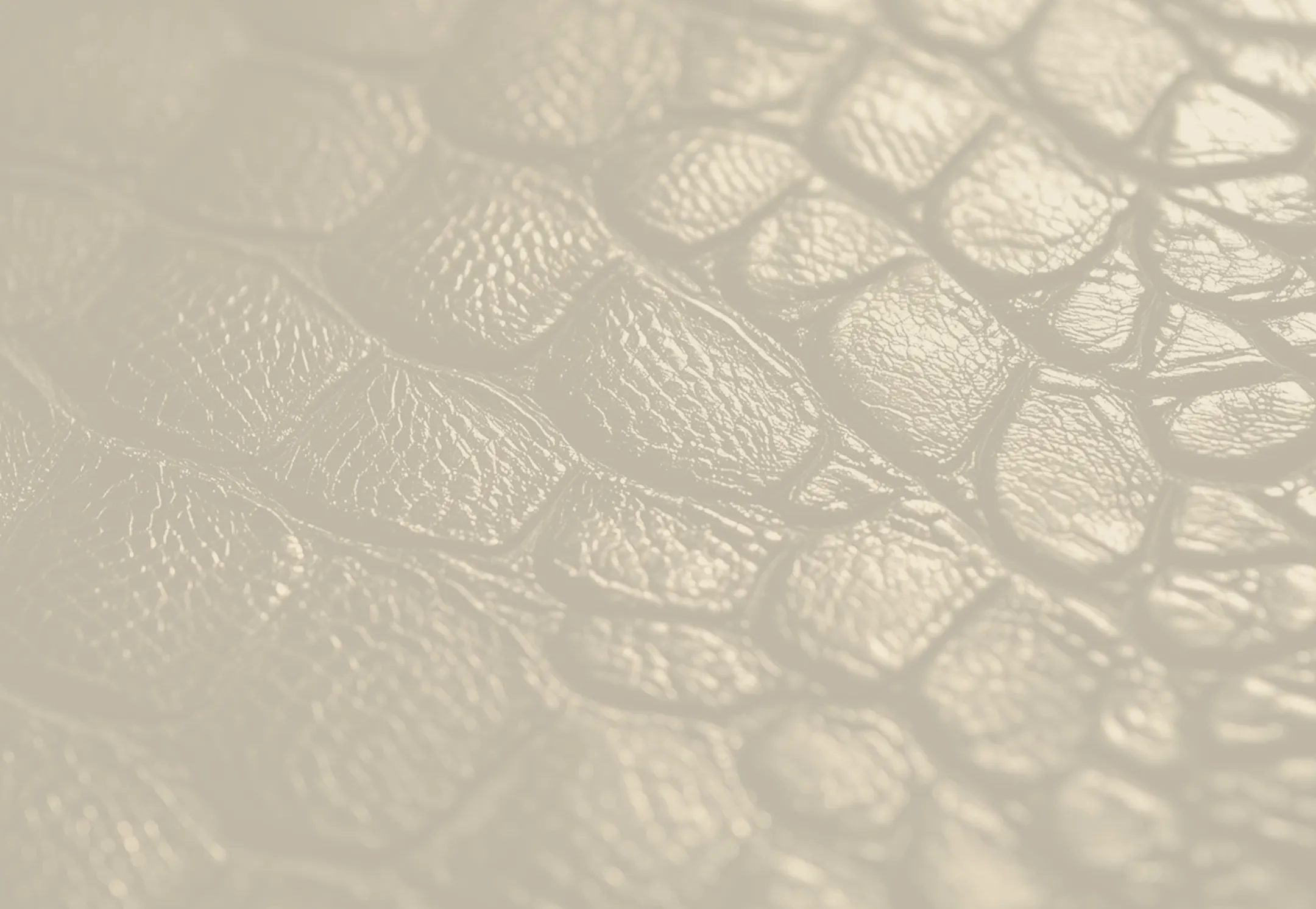 Textured beige surface with organic, cracked pattern resembling leaf veins