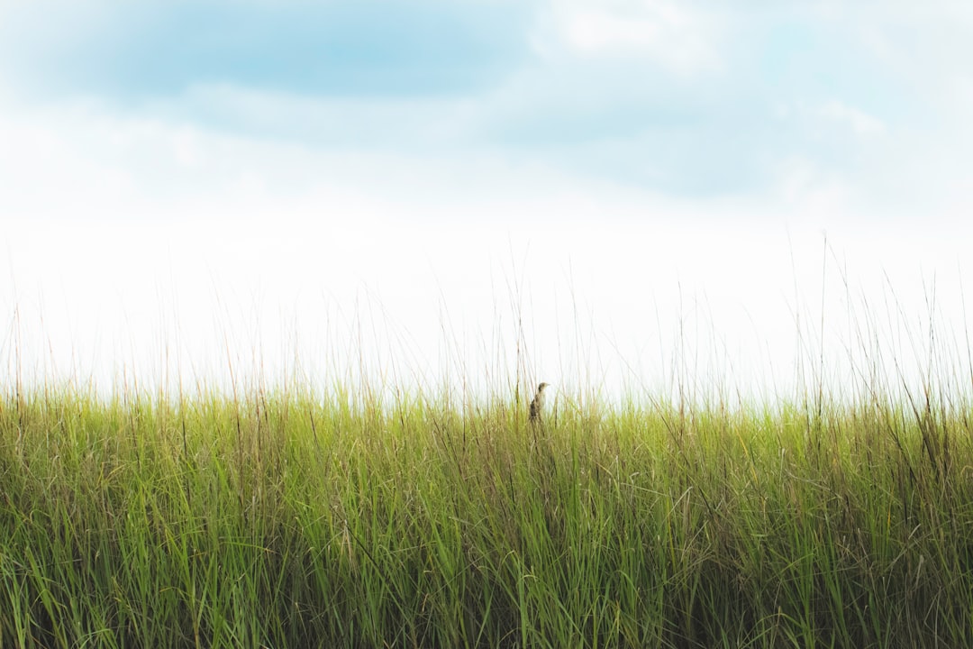 How to Lower Air Conditioning Bill in Humid Louisiana