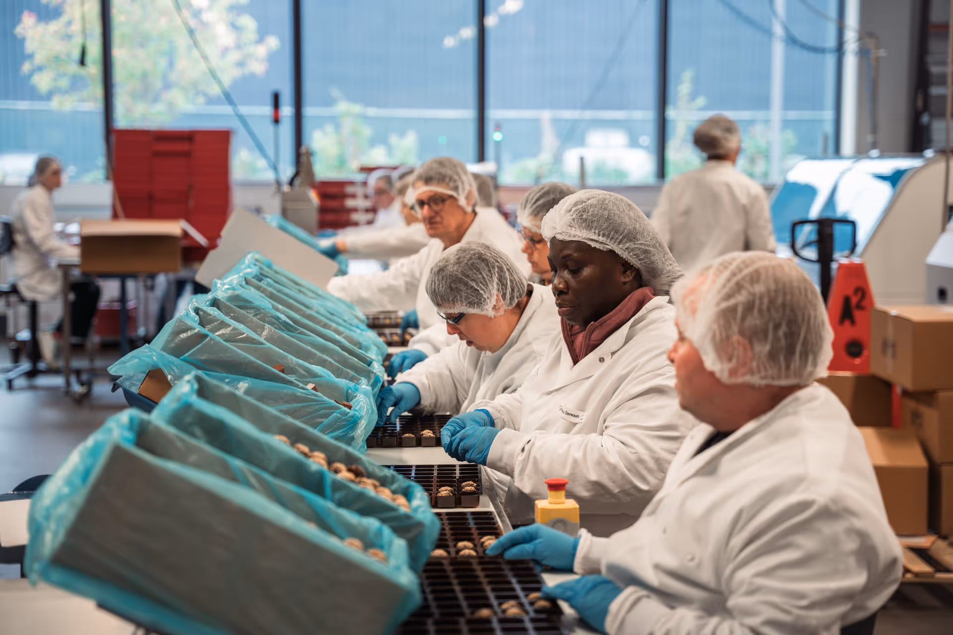 Employees in white lab coats and hairnets are busy sorting chocolates on a conveyor belt. Bright, clean factory with neat rows and machines in the background.
