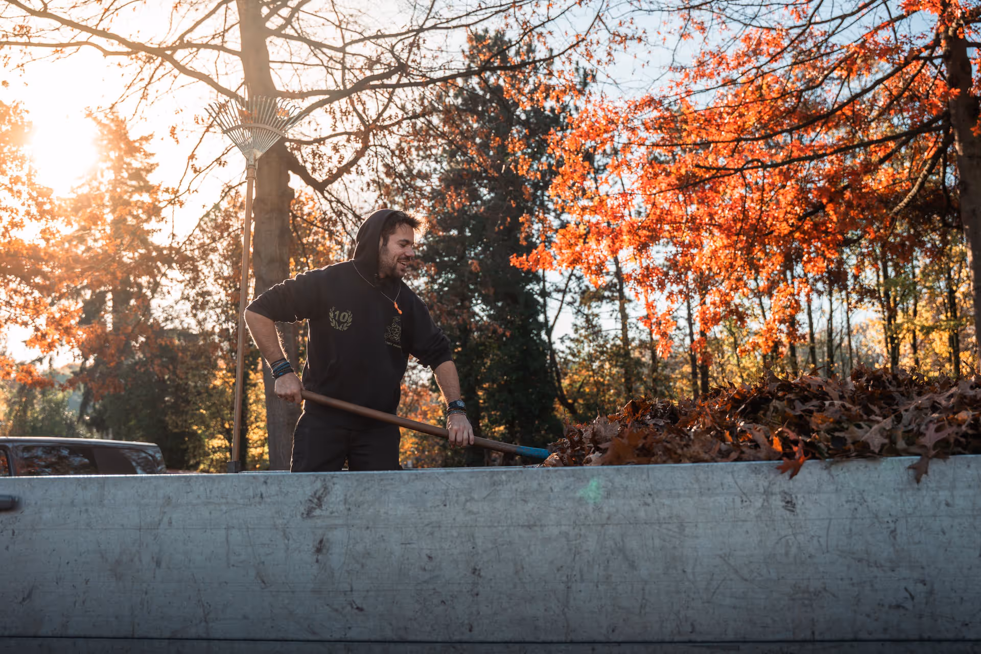 A person rakes autumn leaves into a large container beneath a canopy of orange-red trees, while sunlight shines through the branches, creating a warm, serene atmosphere.