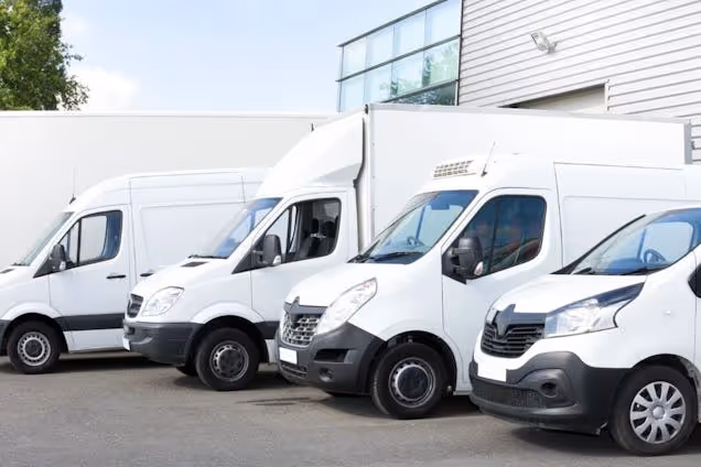 A&M EasyMove Removals Different Size Vans