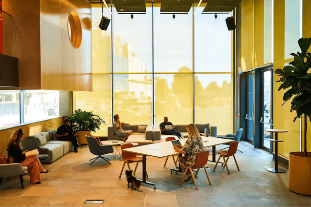 An expansive space with yellow windows, sofas and a communal table.