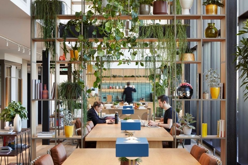 Coworking space with people working at long wooden tables, framed by a floor-to-ceiling shelving unit overflowing with lush indoor plants.