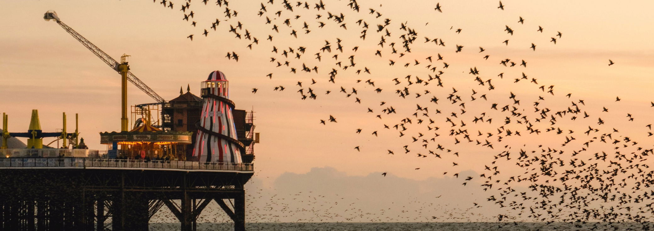 Top 5 Kemptown Office Spaces for Rent