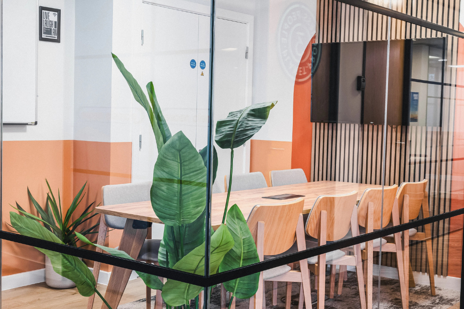 Meeting room with wooden chairs and peach-toned walls, viewed through a glass partition with a large indoor plant in the foreground.
