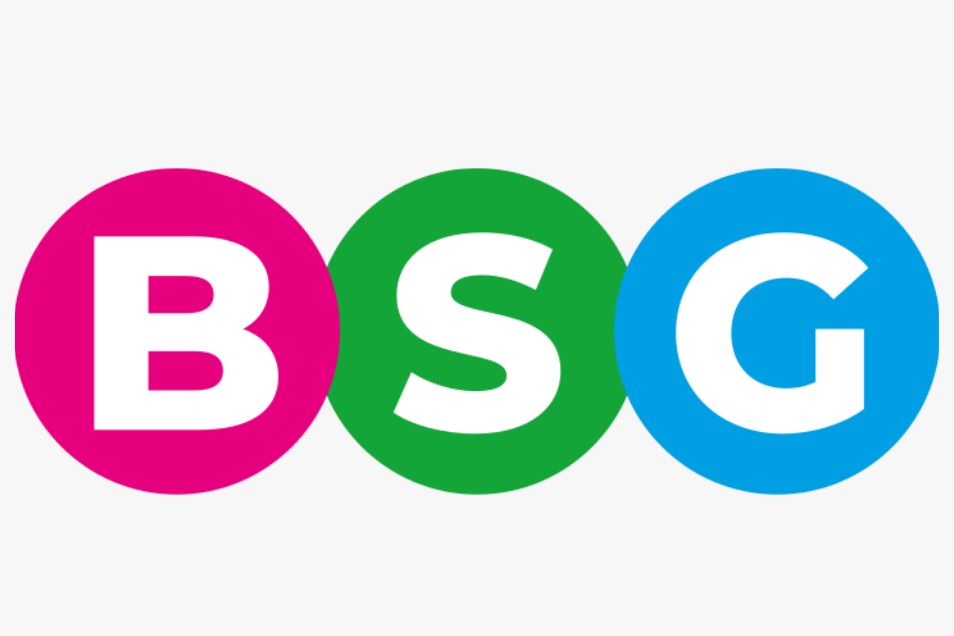 BSG logo with bold white letters inside pink, green and blue circular icons.