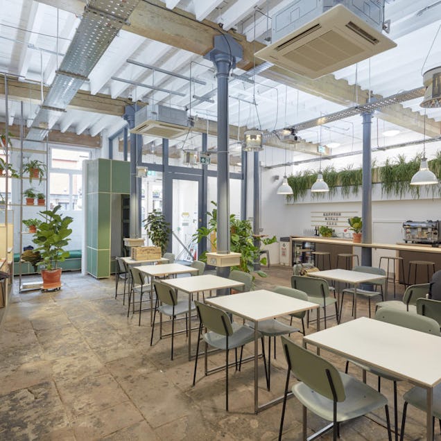 Bright communal workspace with long tables, hanging plants and industrial-style ceiling under a glass roof.