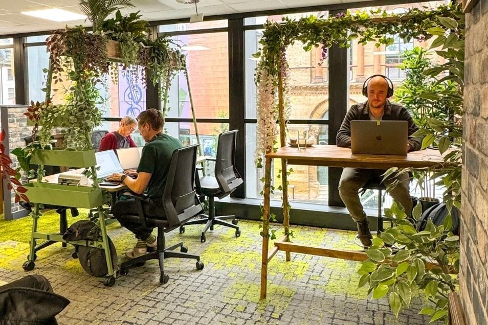 An office where people are working at wooden desks framed by greenery and hanging vines under bright windows.