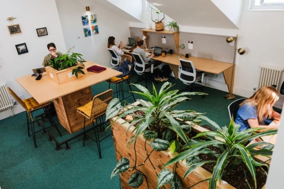 High-angle view of a coworking space where people work at wooden desks surrounded by green plants and natural light.