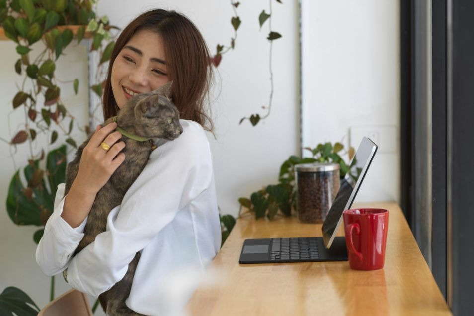 A woman in a white blouse smiles while holding a grey cat in a bright room with a laptop on a wooden desk.