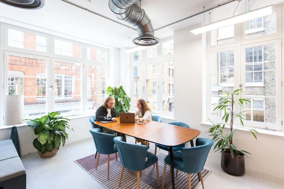 Two colleagues sit at a wooden conference table in a bright, plant-filled office and collaborate on a laptop.