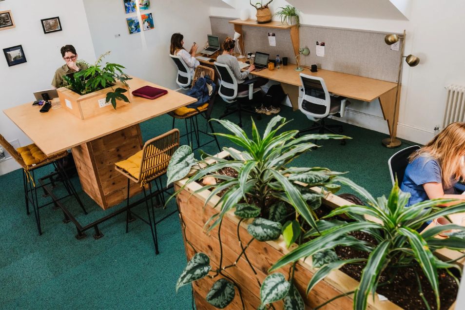 People work at wooden desks in a coworking space decorated with lush green plants and teal carpeting.