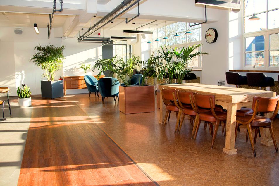 A bright, sunlit office breakout area featuring a long wooden communal table, teal armchairs, and large potted tropical plants.