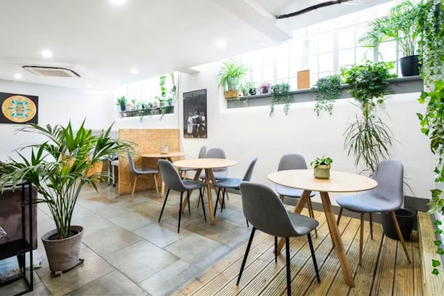 Round tables and chairs sit in a break area decorated with potted plants and greenery on a shelf.
