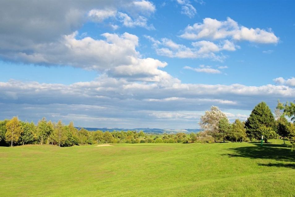 A grass field with trees under a blue sky with clouds.