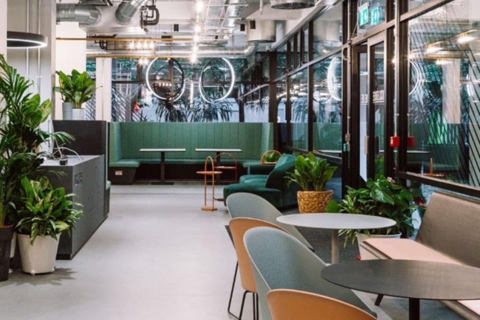 Office lounge with green seating zones and indoor plants.