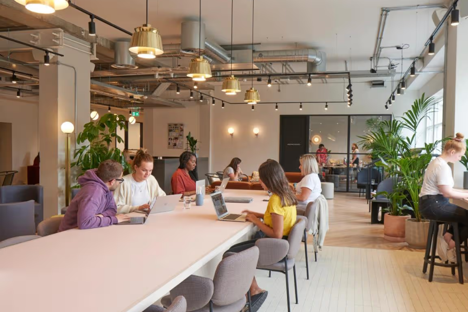 Bright, open-plan office with people working on laptops at a long pink table under brass pendant lights.