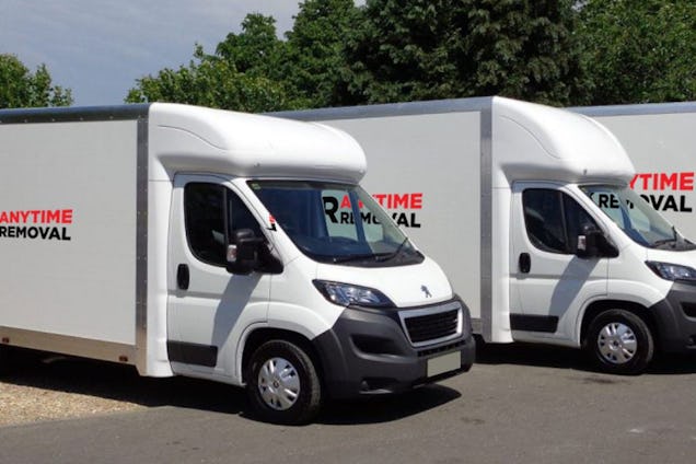 Two white Anytime Removal vans parked side-by-side in a lot with trees in the background.