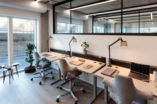 Desks with monitors, lamps, and chairs in a workspace with large windows and indoor plants.
