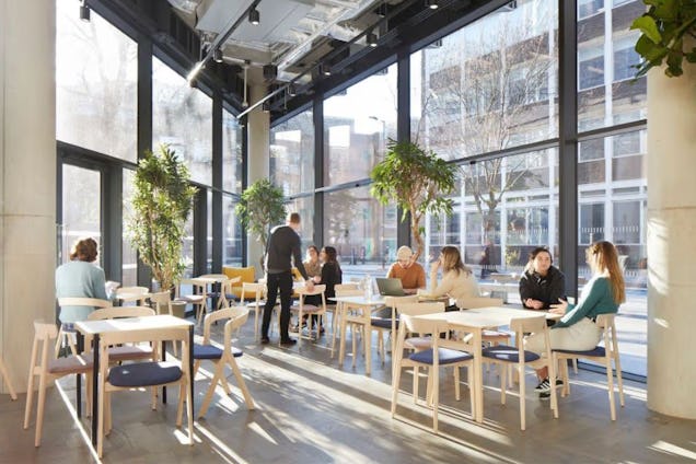 People at light wooden tables and chairs in a bright coworking area with glass walls and indoor trees.