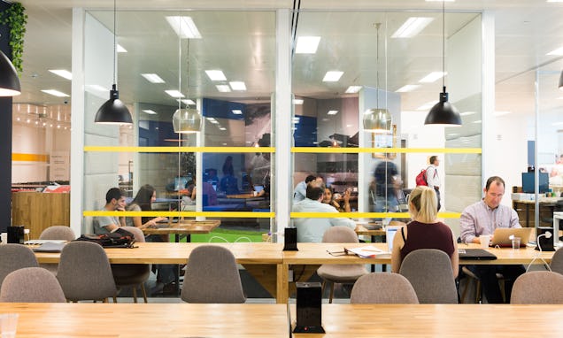 Open-plan office with people working at long wooden desks behind a glass partition with yellow stripes.
