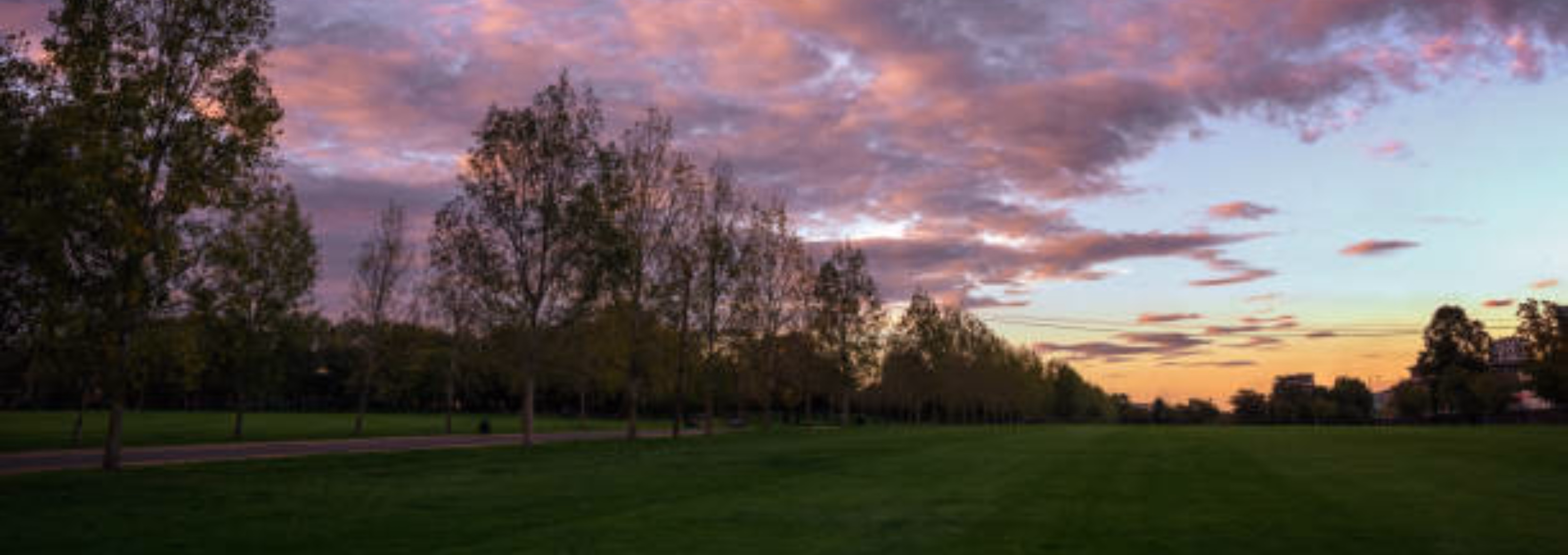 Best pubs near Finsbury Park