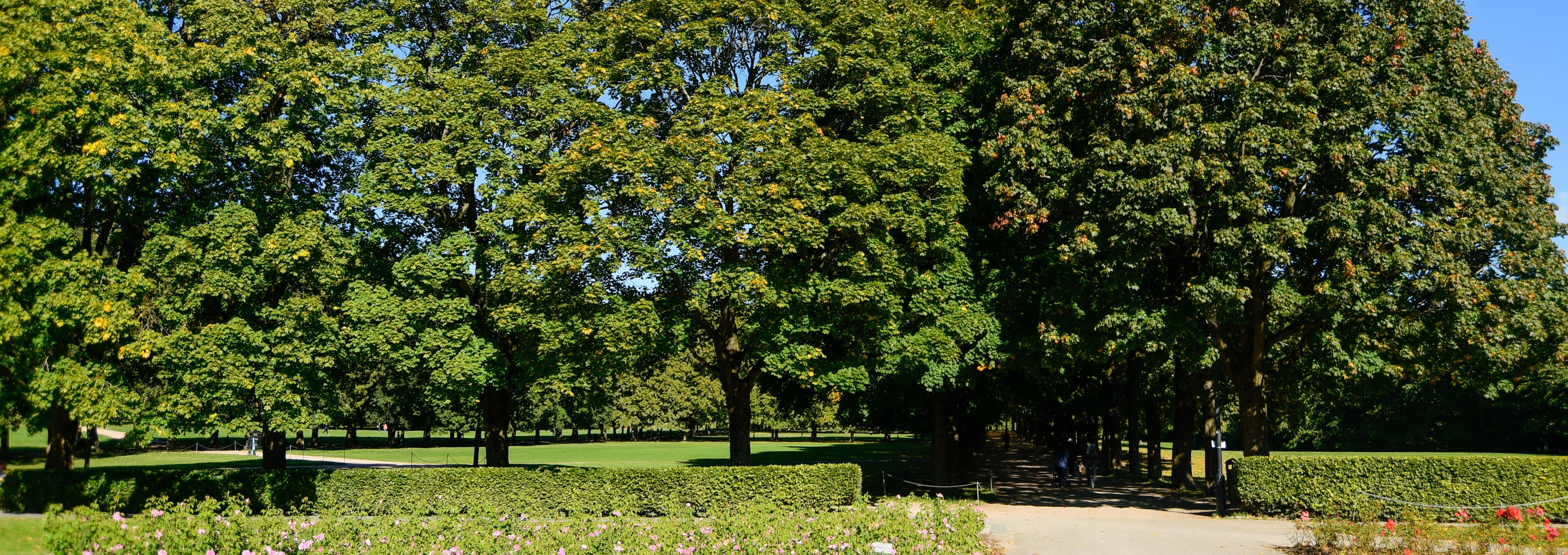 The Best Lunch Spots In Finsbury Park