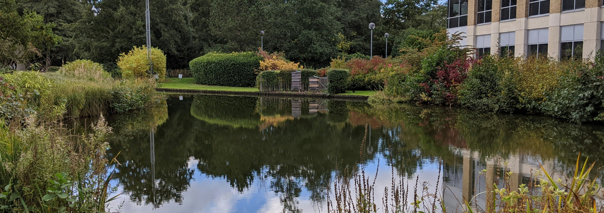 Top 5 Solihull Office Space for Rent