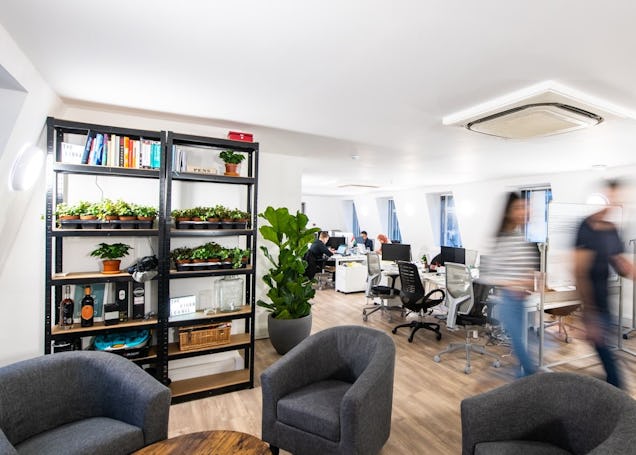 Open-plan office with grey tub chairs and a large black shelving unit filled with plants and books, set against a bright workspace.