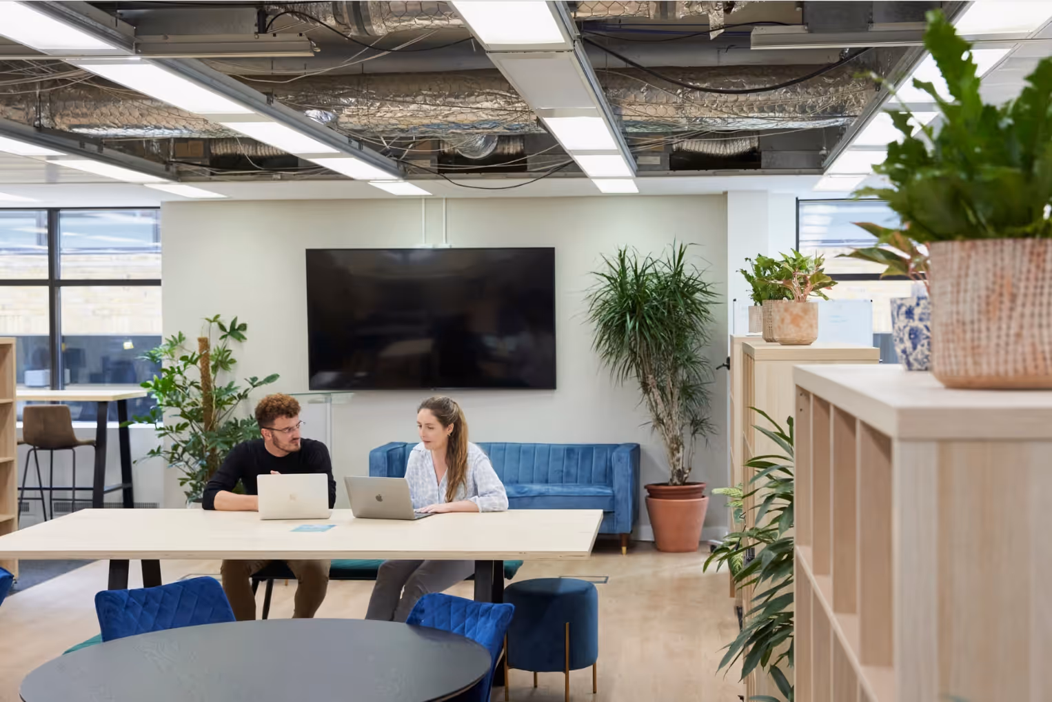 Two colleagues sat at a long wooden table in a plant-filled office and collaborate on their laptops.