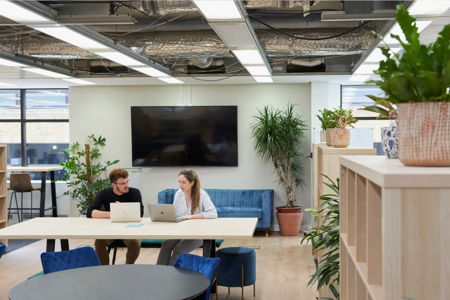 Two colleagues sat at a long wooden table in a plant-filled office and collaborate on their laptops.