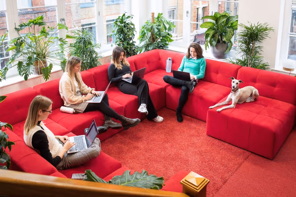Four women sit on a red sofa working on laptops while a dog sits next to them.