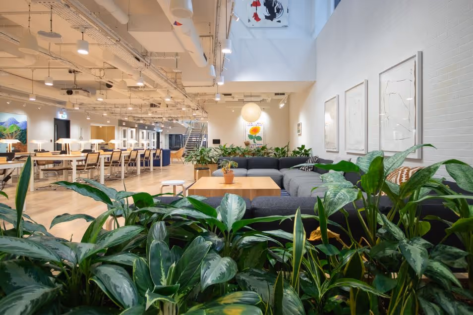 An indoor garden with large green plants in the foreground of a bright, modern office lounge.