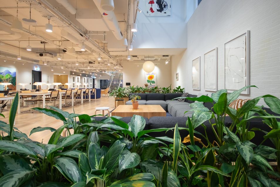 An indoor garden with large green plants in the foreground of a bright, modern office lounge.