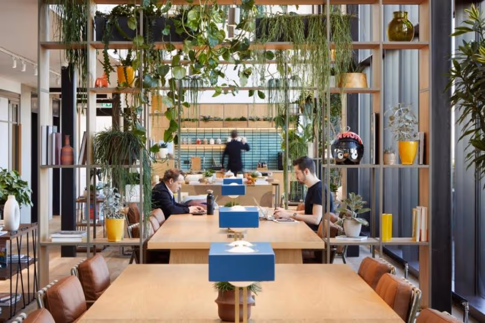 People sat at long wooden communal tables, working on laptops in an office space with hanging plants.