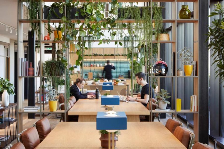 People sat at long wooden communal tables, working on laptops in an office space with hanging plants.
