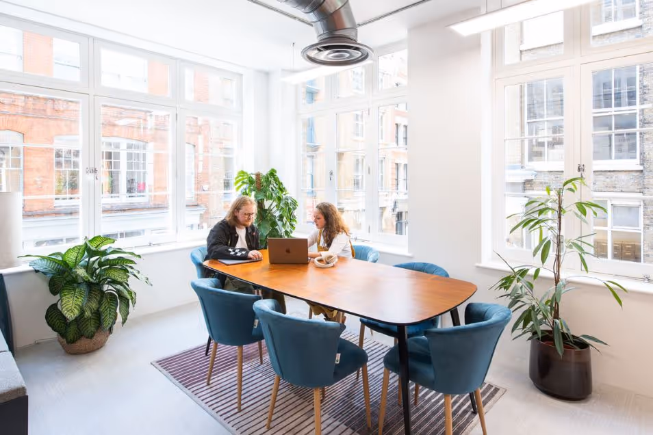 Two people sit at a wooden table with blue chairs and a laptop in a room with plants and windows.
