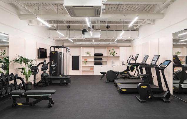 Exercise equipment including treadmills and weights in a gym with white walls and mirrors.