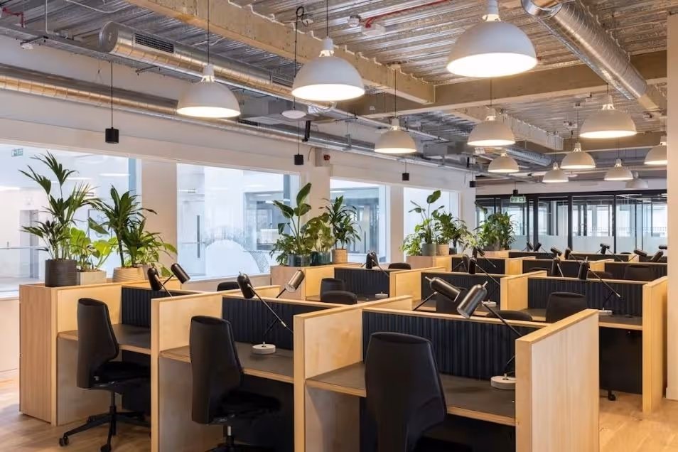 Open-plan office with rows of wooden desks, black ergonomic chairs, large dome pendant lights, and potted plants throughout.