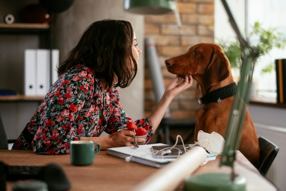 A woman in a floral shirt sits at a desk and affectionately pets a brown dog in a home office setting.