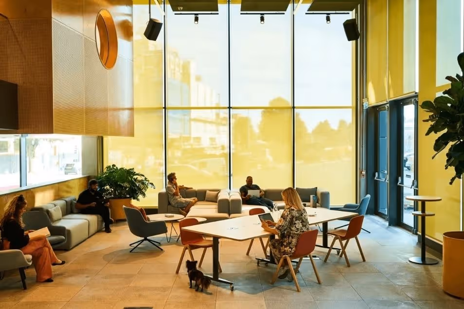 Spacious, sunlit space with people working on laptops, featuring floor-to-ceiling windows, soft multi-colour seating, and a small dog on the floor.