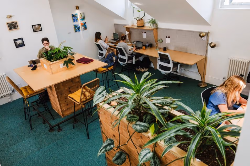 People sat at wooden tables, working on laptops in an office with plants and green carpet.