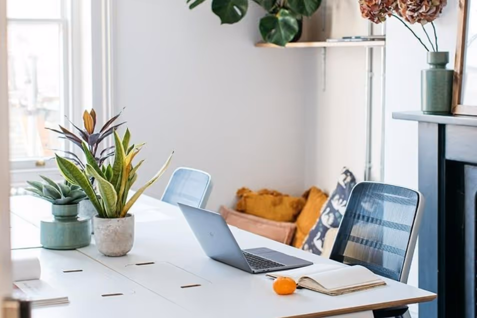 A laptop and notebook on a desk with plants in an office workspace.
