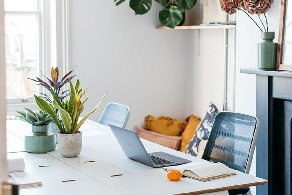 A laptop and notebook on a desk with plants in an office workspace.